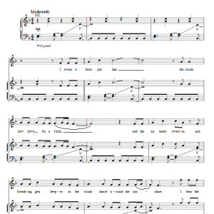 Rascal Flatts Sunday Afternoon Musik Noten - Piano, Vocal & Guitar Chords - 85321-0