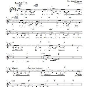 Rebecca Schwartz Mi Shebeirach Musik Noten - Lead Sheet / Fake Book - 66183-0