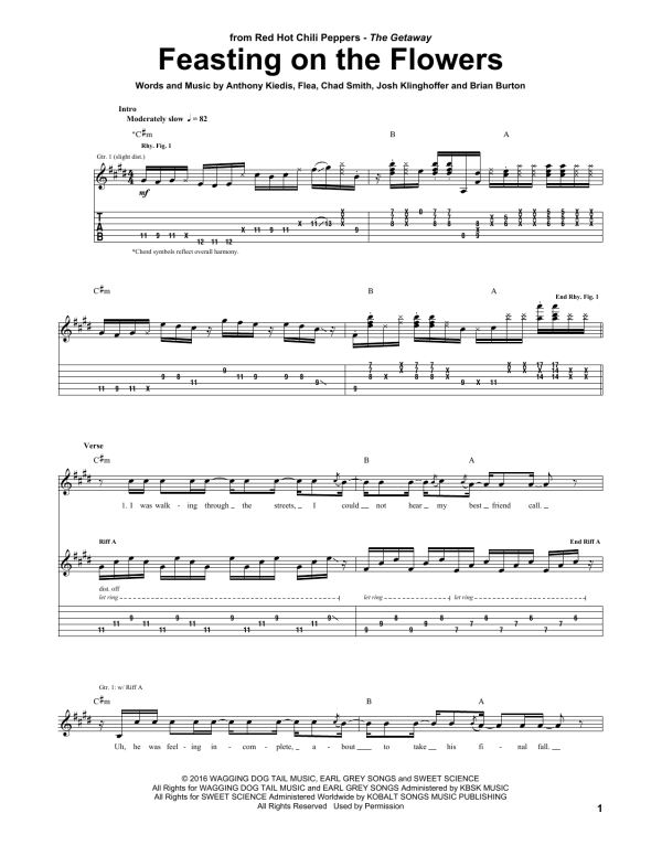 Red Hot Chili Peppers Feasting On The Flowers Musik Noten - Guitar Tab - 173994-0