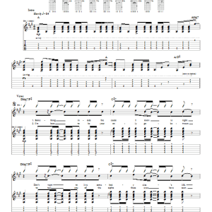 Red Hot Chili Peppers I Could Die For You Musik Noten - Guitar Tab - 21996-0