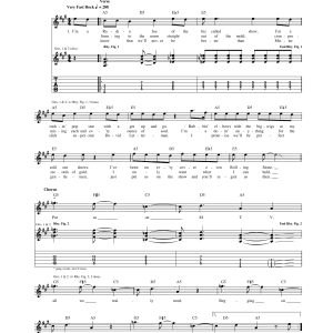 Red Hot Chili Peppers Punk Rock Classic Musik Noten - Guitar Tab - 171960-0