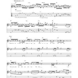 Red Hot Chili Peppers The Longest Wave Musik Noten - Guitar Tab - 173993-0