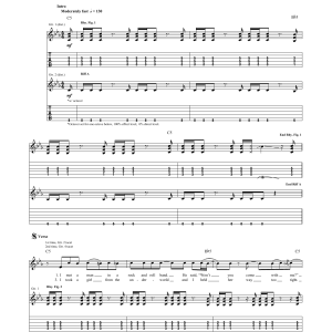 Red Hot Chili Peppers This Ticonderoga Musik Noten - Guitar Tab - 173992-0