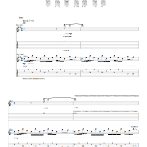 Red Hot Chili Peppers Venice Queen Musik Noten - Guitar Tab - 22005-0