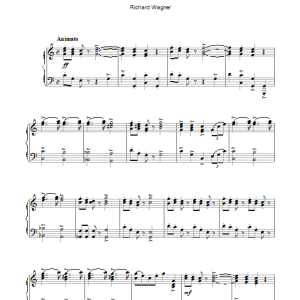 Richard Wagner Sailors' Chorus (from The Flying Dutchman) Musik Noten - Piano Solo - 111284-0