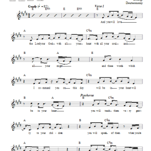Rick Recht You Will Love (Shabbat Alive! Version) Musik Noten - Lead Sheet / Fake Book - 66404-0