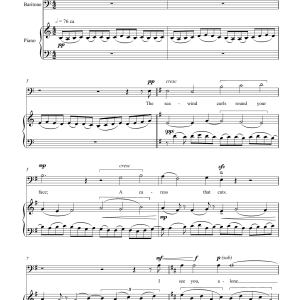 Robert Saxton The beach in winter: Scratby (for baritone and piano) Musik Noten - Piano & Vocal - 46099-0
