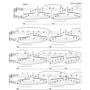Robert Schumann Chopin Musik Noten - Piano Solo - 26474-0