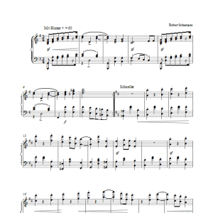 Robert Schumann Davidsbundler, Op. 6 (Mit Humor) Musik Noten - Piano Solo - 27415-0