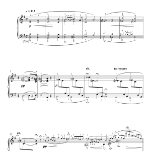 Robert Schumann Der Dichter Spricht Musik Noten - Piano Solo - 119087-0