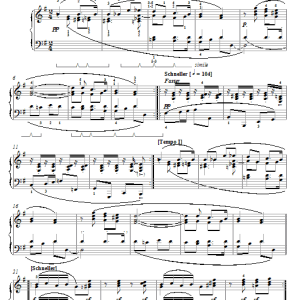 Robert Schumann Frightening, Op. 15, No. 11 Musik Noten - Piano Solo - 57300-0