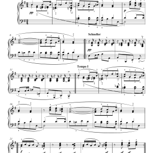 Robert Schumann Furchtenmachen Musik Noten - Piano Solo - 119085-0