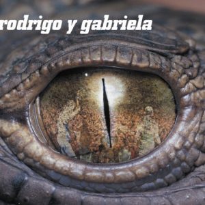 Rodrigo y Gabriela Juan Loco Musik Noten - Guitar Tab - 41216-thumbnail