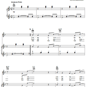 Rufus Wainwright The Motion Waltz (Emotional Commotion) Musik Noten - Piano, Vocal & Guitar Chords - 58943-0