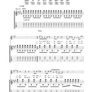 Ryan Adams She's Lost Total Control Musik Noten - Guitar Tab - 38591-0