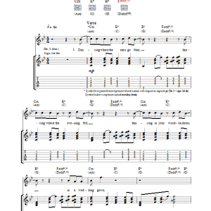 Ryan Adams When The Stars Go Blue Musik Noten - Guitar Tab - 32129-0