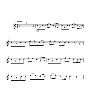 Sarah McLachlan Ordinary Miracle Musik Noten - Lead Sheet / Fake Book - 101661-0