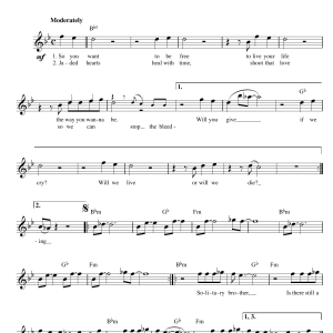 Seal Killer Musik Noten - Lead Sheet / Fake Book - 14082-0