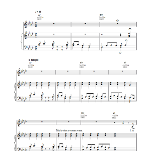 Shania Twain Any Man Of Mine Musik Noten - Piano, Vocal & Guitar Chords - 19235-0