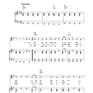 Simon & Garfunkel Somewhere They Can't Find Me Musik Noten - Piano, Vocal & Guitar Chords - 35413-0