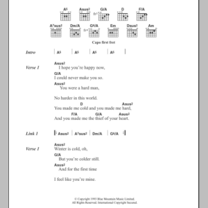Sinead O'Connor You Made Me The Thief Of Your Heart Musik Noten - Guitar Chords/Lyrics - 108896-0