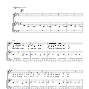 Siouxsie Into A Swan Musik Noten - Piano, Vocal & Guitar Chords - 42317-0