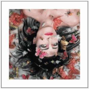 Siouxsie Into A Swan Musik Noten - Piano, Vocal & Guitar Chords - 42317-thumbnail