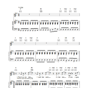 Stereophonics Local Boy In The Photograph Musik Noten - Piano, Vocal & Guitar Chords - 17263-0