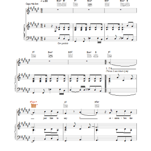 Stereophonics Watch Them Fly Sundays Musik Noten - Piano, Vocal & Guitar Chords - 20046-0