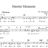 Steve Klaper Hareini Mizamein Musik Noten - Lead Sheet / Fake Book - 66584-0