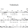 Steve Klaper Yishtabach Musik Noten - Lead Sheet / Fake Book - 66312-0