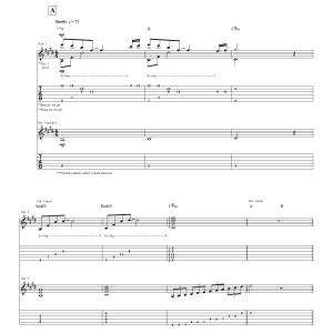 Steve Vai Lotus Feet Musik Noten - Guitar Tab - 64698-0