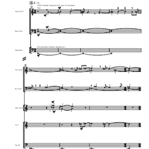 Steve Vai The Road To Mt. Calvary Musik Noten - Guitar Tab - 76804-0