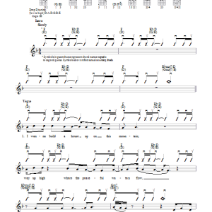 Steven Curtis Chapman The Mountain Musik Noten - Guitar Chords/Lyrics - 79396-0