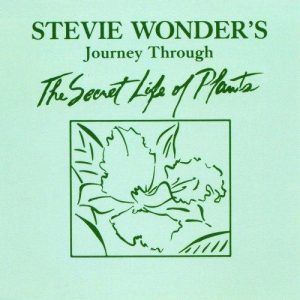Stevie Wonder Power Flower Musik Noten - Piano, Vocal & Guitar Chords - 21936-thumbnail