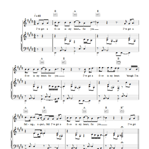 Super Furry Animals Fire In My Heart Musik Noten - Piano, Vocal & Guitar Chords - 41540-0