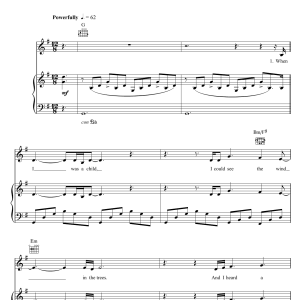 Susan Boyle Who I Was Born To Be Musik Noten - Piano, Vocal & Guitar Chords - 49787-0