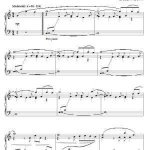 Suzanne Ciani The Velocity Of Love Musik Noten - Piano Solo - 56471-0