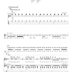 System Of A Down Chic 'N' Stew Musik Noten - Guitar Tab - 22416-0
