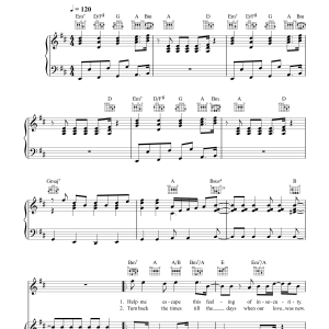 Take That Relight My Fire Musik Noten - Piano, Vocal & Guitar Chords - 33333-0