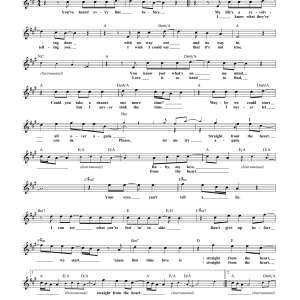 The Allman Brothers Band Straight From The Heart Musik Noten - Lead Sheet / Fake Book - 172653-0
