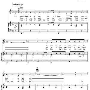 The Beach Boys Surfer's Rule Musik Noten - Piano, Vocal & Guitar Chords - 19569-0