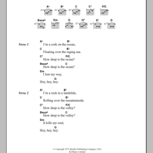 The Beach Boys 'Til I Die Musik Noten - Guitar Chords/Lyrics - 108456-0