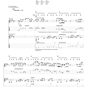 The Derek Trucks Band Home In Your Heart Musik Noten - Guitar Tab - 62618-0