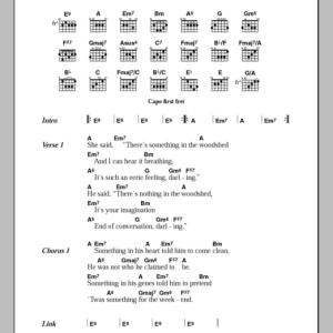 The Divine Comedy Something For The Weekend Musik Noten - Guitar Chords/Lyrics - 107799-0