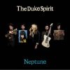 The Duke Spirit The Step And The Walk Musik Noten - Guitar Chords/Lyrics - 49157-0
