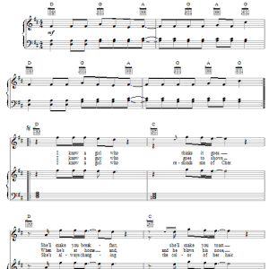 The Flaming Lips She Don't Use Jelly Musik Noten - Piano, Vocal & Guitar Chords - 26266-0