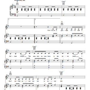 The Moldy Peaches Anyone Else But You Musik Noten - Piano, Vocal & Guitar Chords - 95811-0