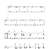 The Police Shambell Musik Noten - Piano, Vocal & Guitar Chords - 35195-0