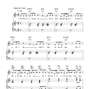 The Script Anybody There Musik Noten - Piano, Vocal & Guitar Chords - 43079-0